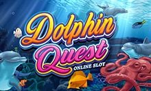 Dolphin Quest