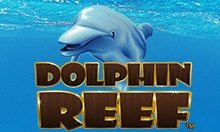 Slots Pay by Phone Bill Dolphin Reef