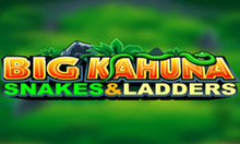 Spill Big Kahuna big-kahuna