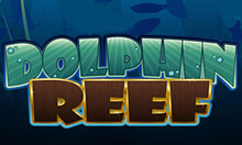 dolphin-reef